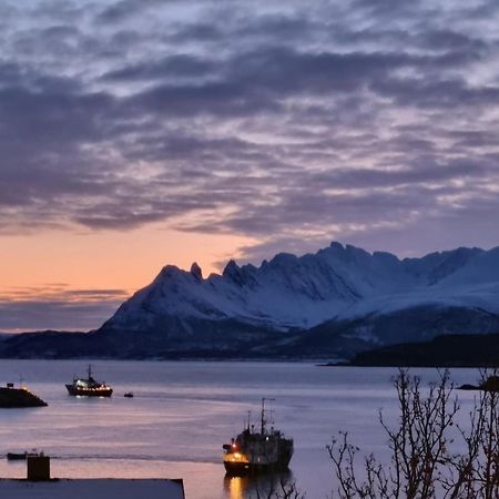 Loftsleilighet Midt I Sentrum Skjervoy Exterior foto