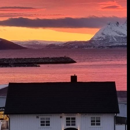 Loftsleilighet Midt I Sentrum Skjervoy Exterior foto